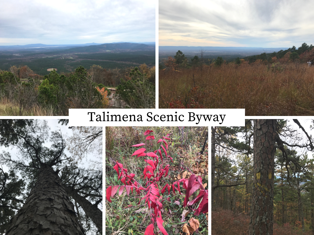 Photo collage of fall leaves on the Talimena National Scenic Byway